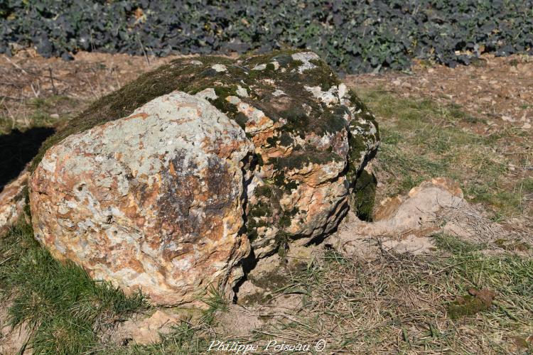 Le menhir du Chaillou Magnien