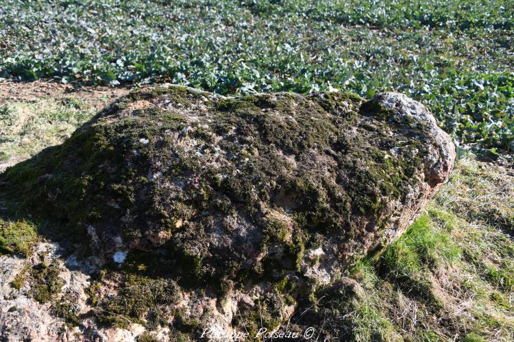 Le menhir du Chaillou Magnien