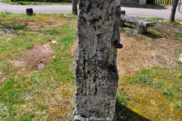Monolithe ancien de Grenois