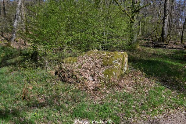Monolithes du Bois des Rapières de Lorme