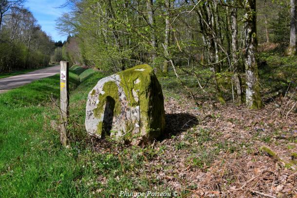 Monolithes du Bois des Rapières de Lorme