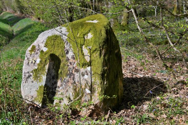 Monolithes du Bois des Rapières de Lorme