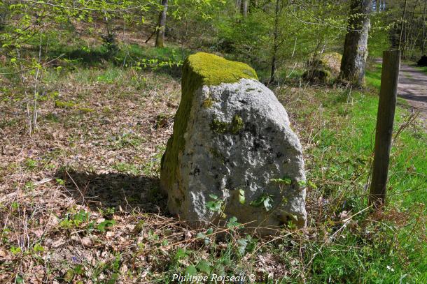Monolithes du Bois des Rapières de Lorme