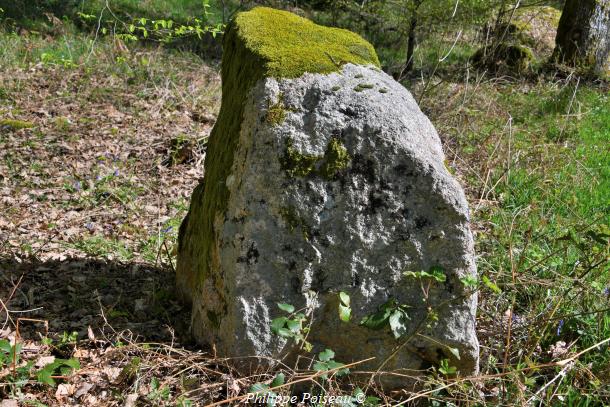 Monolithes du Bois des Rapières de Lorme