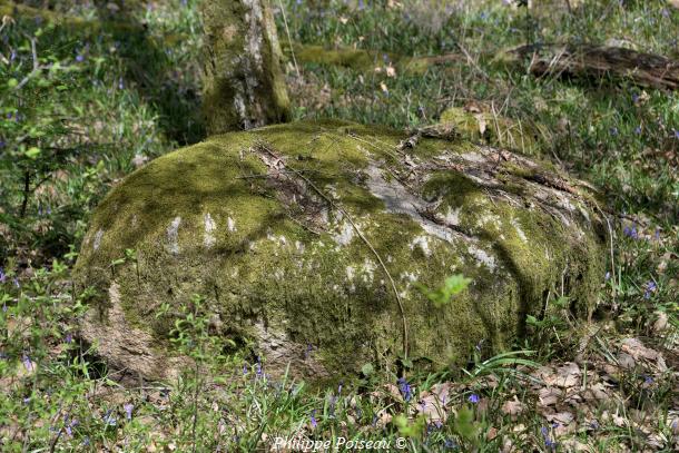 Monolithes du Bois des Rapières de Lorme