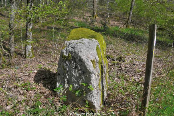 Monolithes du Bois des Rapières de Lorme