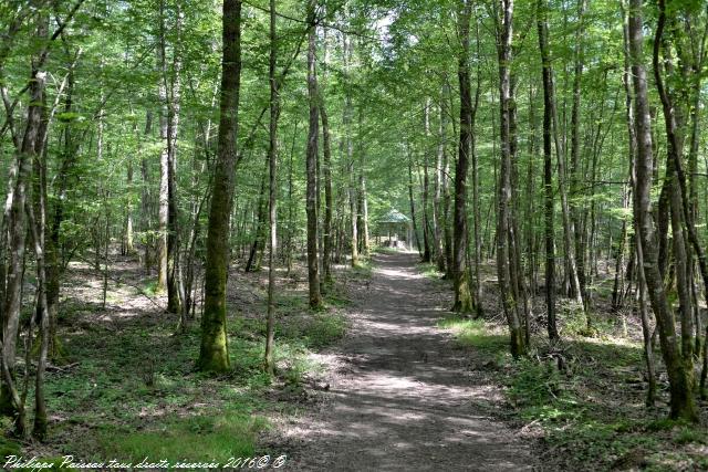 Le tombeau du chêne Babaud