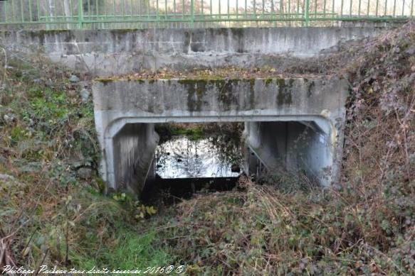 Pont d'Yonne Les Mouilleferts Nièvre Passion