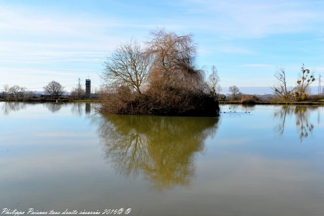 etang de grangebault