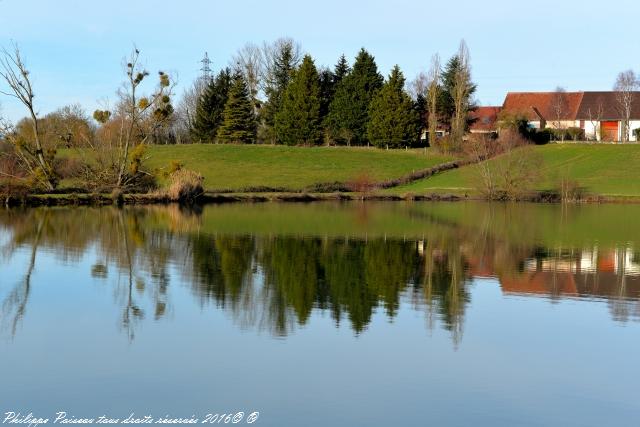 Étang de Grangebault un beau Plan d’eau du Nivernais