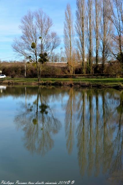 etang de grangebault