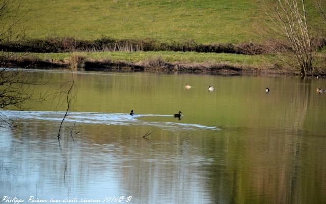 etang de grangebault