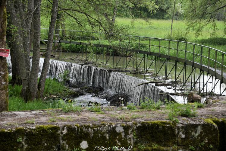 Passerelle de Coeuillon un remarquable ouvrage