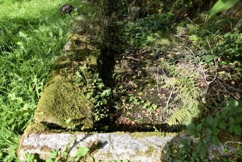 Petit lavoir de Boutenot un patrimoine vernaculaire