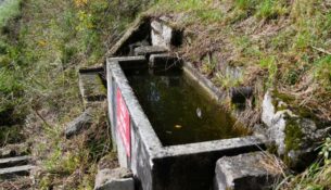 Petit lavoir abreuvoir de Chaulgnes