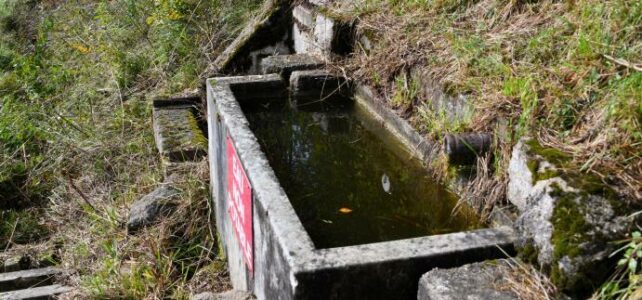 Petit lavoir abreuvoir de Chaulgnes