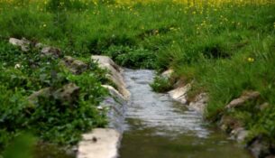 Petit lavoir de Pignol