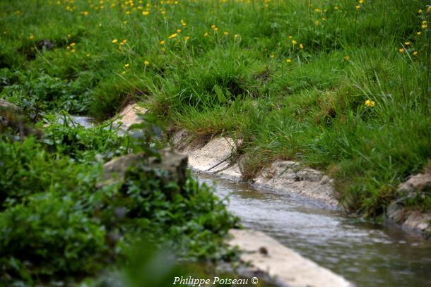 Petit lavoir de Pignol