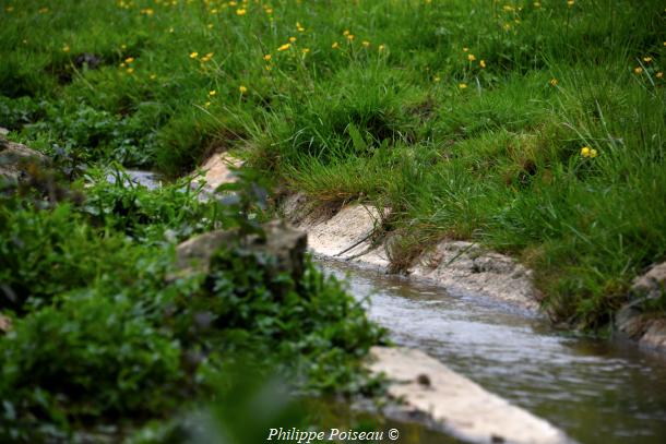 Petit lavoir de Pignol