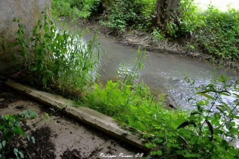 Petit lavoir de Villiers sur Beuvron