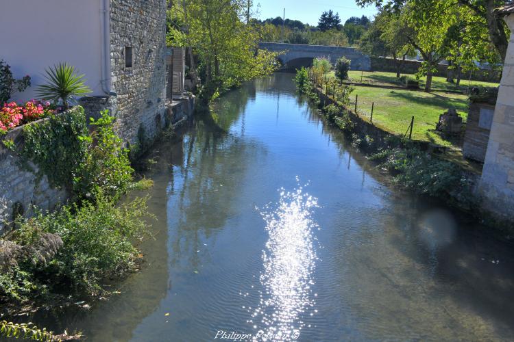 Petit lavoir privatif de Donzy un patrimoine