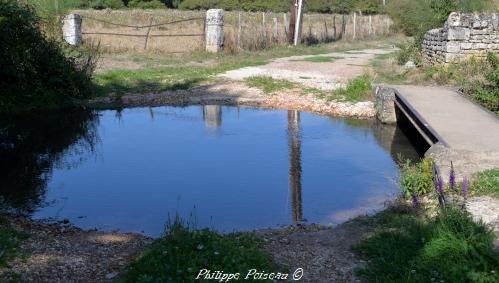 Petite mare de Varennes lès Narcy