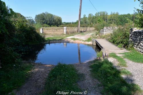 Petite mare de Varennes-lès-Narcy un patrimoine