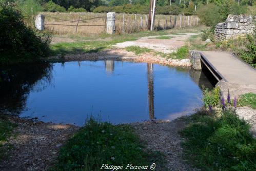 Petite mare de Varennes lès Narcy