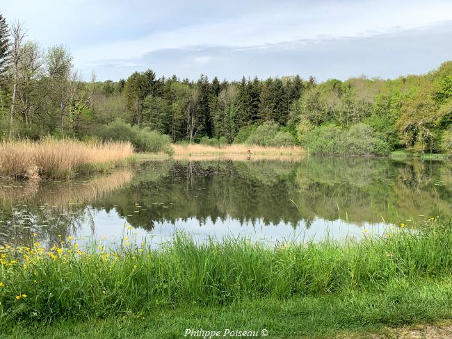 Le ruisseau du sentier de Chaumour un beau patrimoine