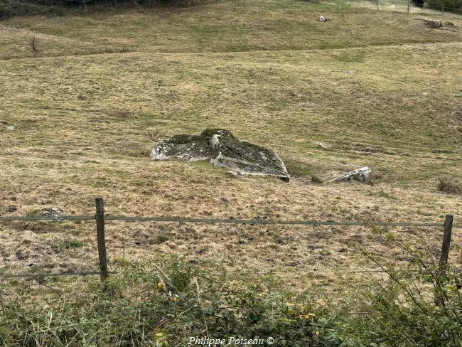 Le Dolmen de "Les Courots" commune de Luzy