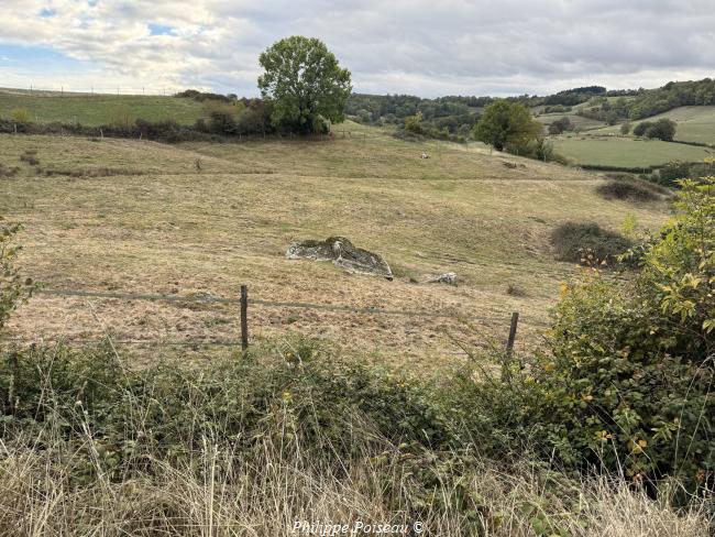 Le Dolmen de "Les Courots" commune de Luzy