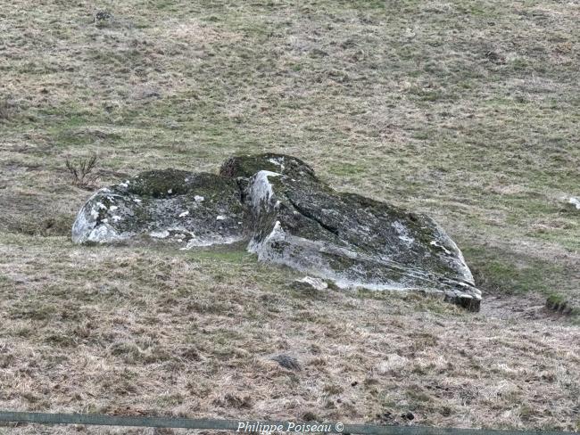 Le Dolmen de "Les Courots" commune de Luzy