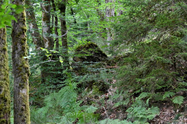 Les Pierres Gautier