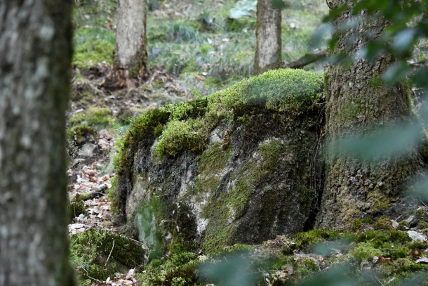 Les Pierres Gautier