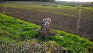 Le Monolithe de Chevannes Changy un beau patrimoine