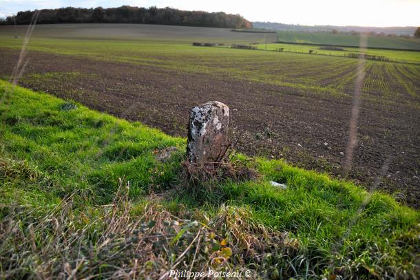 Le Monolithe de Chevannes Changy un beau patrimoine