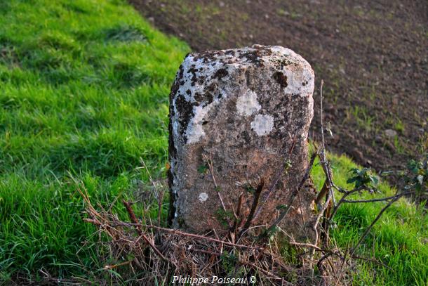 Le Monolithe de Chevannes Changy un beau patrimoine