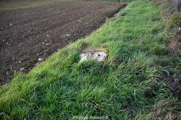 Le Monolithe de Chevannes Changy un beau patrimoine