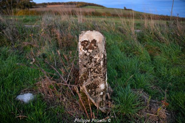 Le Monolithe de Chevannes Changy un beau patrimoine