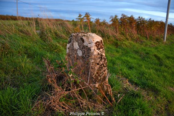Le Monolithe de Chevannes Changy un beau patrimoine