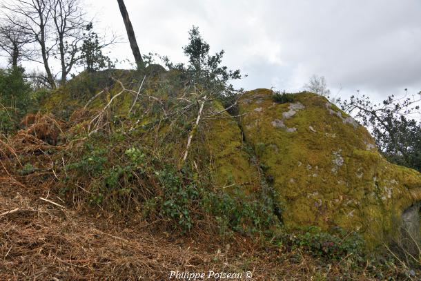 "Pierre Portefeuille"