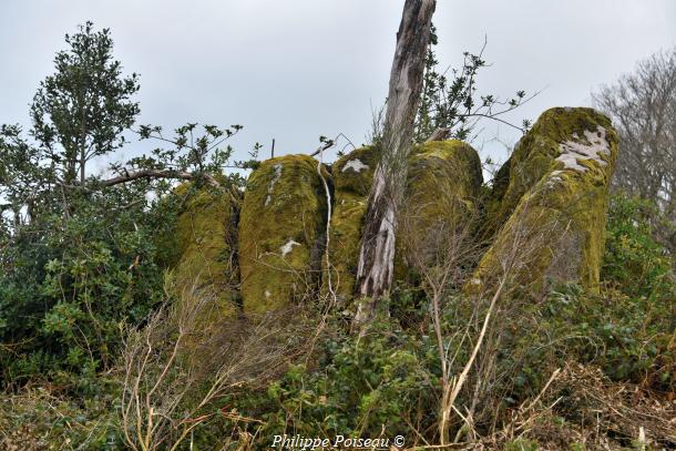 "Pierre Portefeuille"