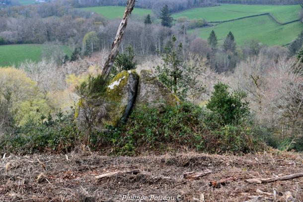 "Pierre Portefeuille"