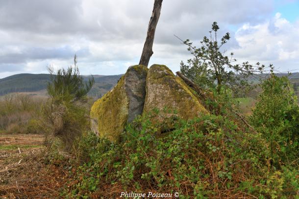 "Pierre Portefeuille"