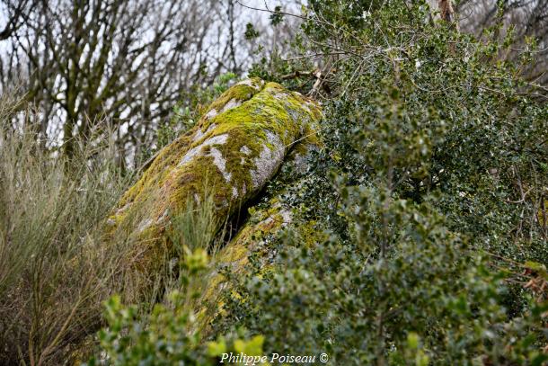 "Pierre Portefeuille"