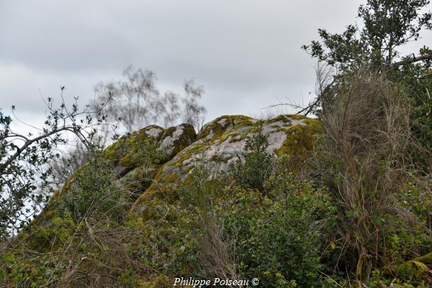 "Pierre Portefeuille"