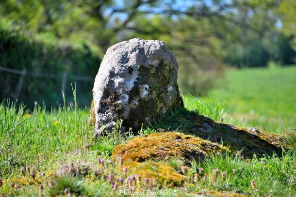 Pierre à Maux de Millay