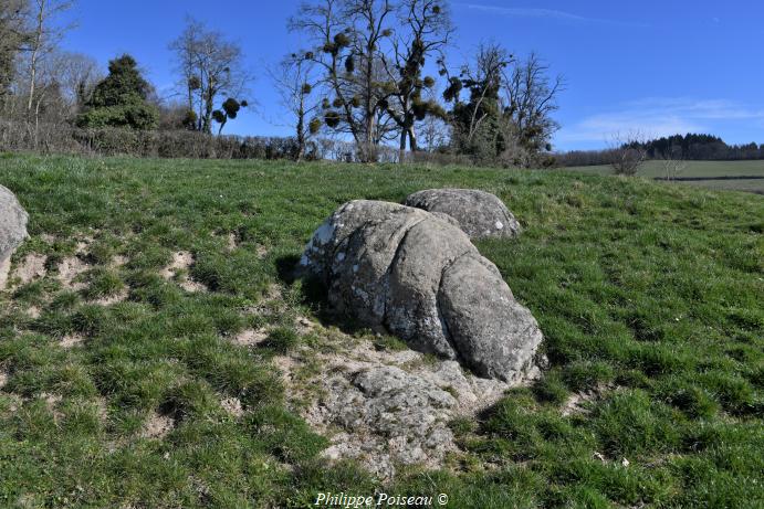 Rocher de Montjoux