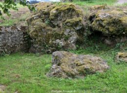 Pierre de Saint Martin