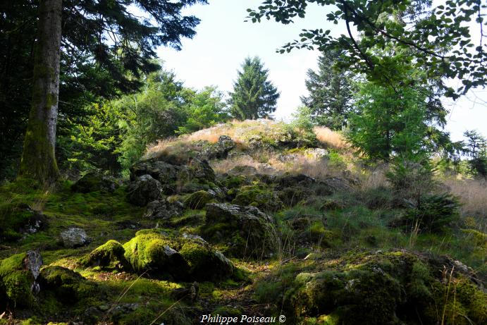La "Roche de Suize"